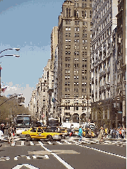 Center right picture you see Fifth Avenue near Grand Army Plaza.  To the left you see trees that are located in Central Park.  If you continue up Fifth Avenue a few blocks you will be at Museum Mile where most of the major museums are located.