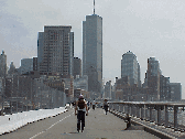 As we mentioned there are plenty of esplanades to walk with great views.  Top left picture you see the esplanade on the West Side.  In the distance you see the skyline of downtown NYC.  You can walk along this esplanade from Chelsea to Battery Park.