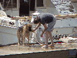 Don't forget your best friend when you make your weekend plans!  Give that sweet friend of yours a nice cool hosing down.  Top left photo you see a man bathing his dog at the 79th Street Boat Basin.