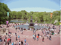 Top right picture you see a horse and carriage near the Central Park Zoo.  The skyline of the East Side of New York City is visible in the distance.