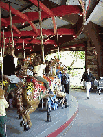 For one dollar your little darling (or you) can take a ride on the Carousel in Central Park.