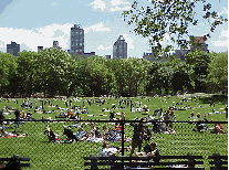 Top right you see people soaking up some sun in Sheep Meadow.  In the distance you see the skyline of the East Side of New York City.