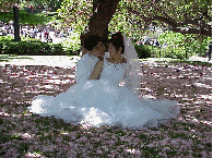 Top right you see a beautiful bride and groom posing for wedding pictures in Central Park.