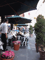 You're invited!  The Italian Restaurants of Little Italy will make you feel just like you are part of a big Italian family.  The streets are narrow  and covered with festive decorations.  The air of Little Italy is filled with the smell of fresh bread.