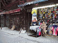 Center right photo you see a lady selling merchandise in an alleyway of Chinatown off of Canal Street.