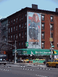 Bottom right picture you see the corner of East 7th Street in the East Village.  The buildings are covered with bright billboards and like most everywhere else in New York City, there's a deli on every corner.