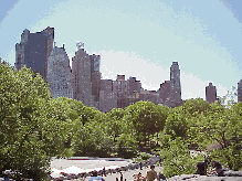 Bottom right picture you see part of the skyline of New York City as seen from the top of a large rock within Central Park.  The park is 840 acres filled with trails, a pond, a castle, a zoo and more.