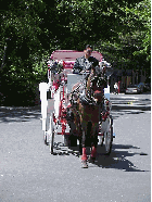 A cool way to see the park!  Take the family on a carriage ride through Central Park.