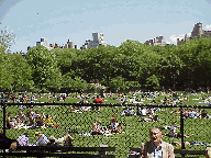 Top left picture you see The Sheep Meadow which is always filled with sun worshipers.