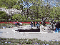 Bottom right picture you see the flowers in full bloom at the Conservatory Gardens on the Upper East Side.