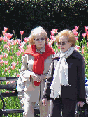 Beloved celebrities can be spotted enjoying quiet moments around town too.  Center right picture you see  Barbara Walters and a friend enjoying a stroll through the Conservatory Gardens.  Everyone was a lot more awestruck by the lovely and gracious star.