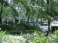 Top right photo was taken in Central Park looking at the entrance of the apartment building where Jackie O lived.