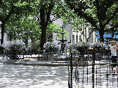 Center right you see a pretty fountain in Madison Square Park.  You'll find the nice views a real draw for many artists and photographers.