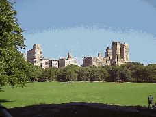 Center right picture you see Sheep Meadow in Central Park with the view of the West Side of the city in the background. These photos were taken very early in the morning otherwise you would see lots of people!