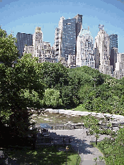 Some 15 million people visit Central Park every year. It might be the most popular park in the world. Top left picture you see part of the skyline view from a rock overlooking Wollman Rink in Central Park.