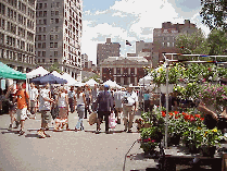 Center right picture you see Union Square Park and summer shopping at the farmers market.