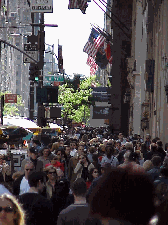 Fifth Avenue is lined with famous stores and businesses.  If you walk Fifth Avenue in the middle of the day you'll find it packed with business people, shoppers, and tourists.  Top left picture you see the crowds on Fifth Avenue.