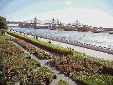 Top left photo you see the United Nations and the FDR Drive along the East River. Center right picture you see the rose garden of the United Nations with the Queensboro Bridge in the far distance.