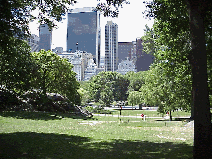 Bottom right picture you see one of the pretty views you'll see through the clearing of Central Park South.