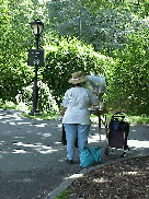 Top right photo you see one of the many artists capturing the beauty of Central Park.