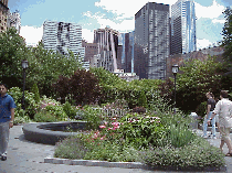 Bottom right picture you see one of the gorgeous gardens at Battery Park with the skyline of the city in the background.