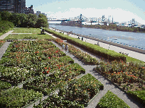 Bottom right picture you see the rose garden on the lawn of the United Nations.  You see the Queensboro Bridge in the distance.