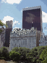 Top left picture you see part of the skyline of New York City as seen from a rock near Wollman Rink. Top right picture you see the Plaza Hotel as seen from Central Park.