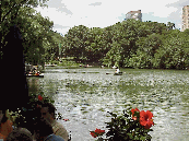 Top right photo you see another look at the view as seen from the Boat House Cafe Restaurant in Central Park.  You can see the skyline of the Upper West Side in the far distance.