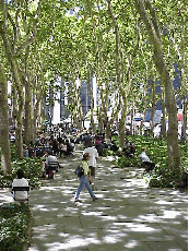 Top left picture you see Fifth Avenue near Bryant Park.  You can see why in the midst of all of the traffic and hectic city life Bryant Park is appreciated by New Yorkers.