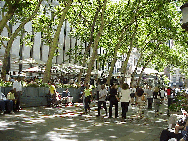 Center right photo you see the umbrella of trees that line the walkway in Bryant Park.