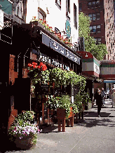 Top left photo you see Pasta Pesto Restaurant on 2nd Avenue.