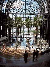 There's something for everyone in New York City.  As soon as you think you've seen it all, it changes! Top left you picture you see the pretty palm trees and views of the Hudson River as seen from inside the Winter Garden of the Atrium Building.