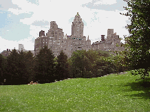 Bottom right picture you see the skyline of NYC as seen from the lawn at the Metropolitan Museum of Art and the East Side of Manhattan.