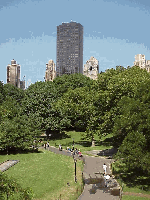 Top right photo you see Trump International Hotel as seen from Central Park.