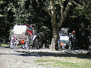 Center right photo you see a couple of horse and carriages making their way through Central Park.