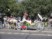 Top right photo you see a horse and carriage at Grand Army Plaza.  Be sure and take a carriage ride through Central Park and enjoy the color as the leaves change.