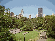 Center right picture was taken in Central Park.  The dark high-rise is Trump International Hotel and Tower at Columbus Circle.  The leaves are changing and we'll bring you some colorful pictures of Central Park very soon!