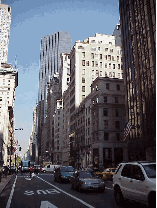 Bottom right picture you see Fifth Avenue and Trump Tower in the far distance.  Fifth Avenue is one of the best shopping areas of New York City.  You'll pass by many famous stores and see street vendors selling knock-offs along the way.