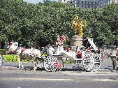 Top right you see one of the many horse and carriages that line up in front of Grand Army Plaza.  They're beautiful to look at and they give memorable rides through Central Park.