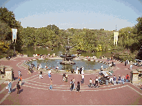 Bottom right picture you see Bethesda Fountain.  This is one of the favorite spots for photographers to take wedding pictures.