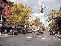 Center right picture you see a pretty tree-lined street near Tompkins Square which is lined with cool stores and restaurants.