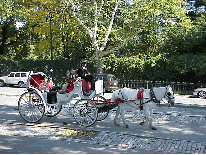 Center right photo you see a very romantic way to take a ride through Central Park.