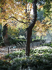 Gramercy Park is surrounded by an 8 foot high cast iron fence so you aren't going to see anything out of place here!  In order to get into Gramercy Park you have to live here or be invited.  Top right you see a picture inside Gramercy Park.