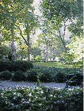 Center right photo you see another picture inside of Gramercy Park.  This is an area worth visiting many times while you're in NYC or if you live in the city.