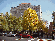 Top right you see Stuyvesant Square and in the background you see Beth Israel Hospital.