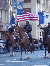 We can't say thanks enough to the firefighters, police, and armed forces of the United States.  Top right you see the NYPD in the Veterans Day Parade on Fifth Avenue.