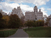 Bottom right picture is the skyline of the East Side of the city and the walkway beside The Metropolitan Museum of Art which is located at Fifth Avenue and Central Park.