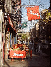 Top right picture you see Panchito's Restaurant on MacDougal Street.  You'll find any kind of food you might be craving in the village.  On warm days it's lots of fun to get a seat at a sidewalk cafe.  Greenwich Village is one of the best spots in NYC.