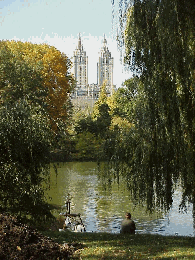 Top right photo you see The Lake in Central Park and the skyline of the West Side of Manhattan.  It's not all cement and horns blowing; we have our quiet spots too.