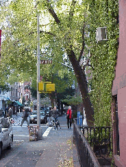 Center right picture you see West 4th Street and the corner of West 11th in Greenwich Village.  The quaint tree-lined streets are home to artists, writers and actors.